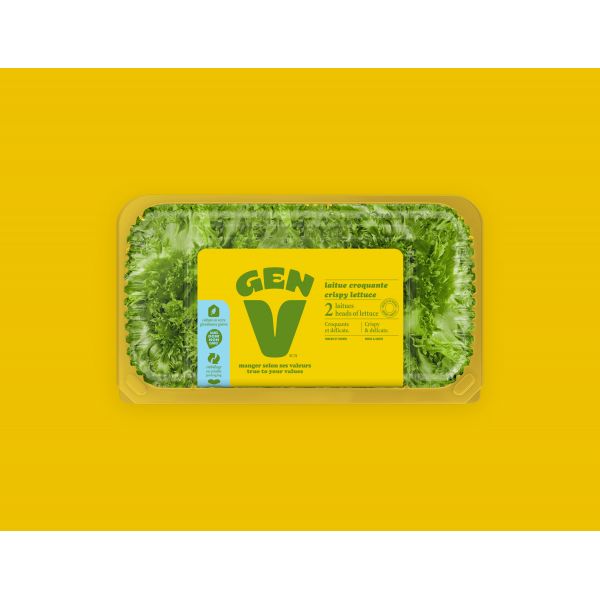 Fresh Fruits and Vegetables at the Expo